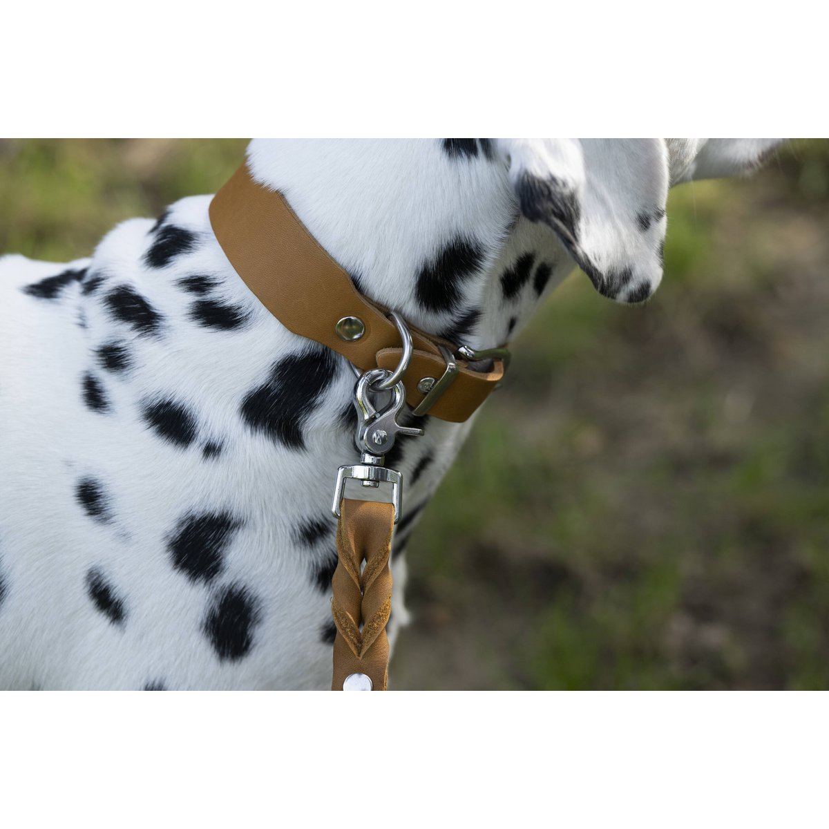 GIRO Hondenhalsband HoningDe GIRO-collectie is gemaakt met aandacht voor detail en biedt de beste kwaliteit zadelmakerij "Made in Germany". De halsbanden zijn gemaakt van duurzaam volnerf vetLABONIwafwafGIRO Hondenhalsband Honing