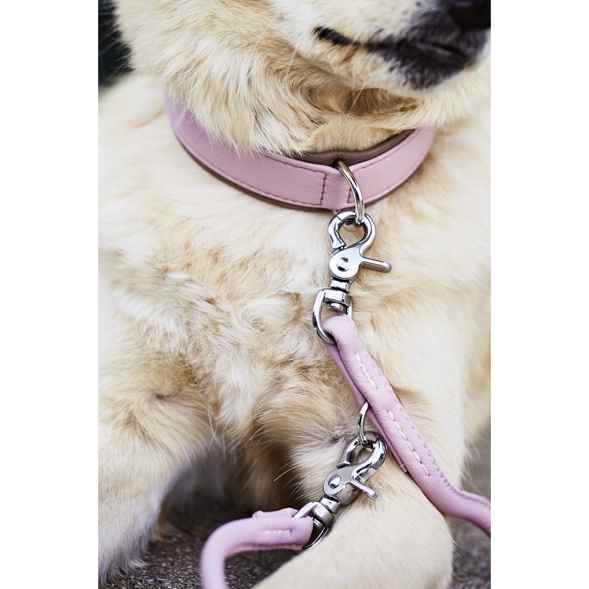 AMICI Hondenriem Rose
De AMICI-collectie biedt een scala aan hondenriemen en halsbanden van hoogwaardig nappaleder, waardoor ze comfortabel en duurzaam zijn voor zowel mens als dier. MetLABONIwafwafAMICI Hondenriem Rose